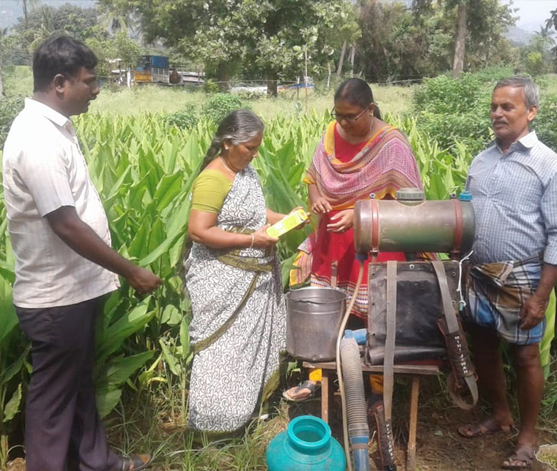 Daily Market Information DMI